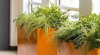 Interiorscape Hacks: 4 Ways to Save Time and Money Featured Image