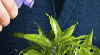 Tips for Techs: 9 Ways to Make Plant Maintenance More Enjoyable Featured Image