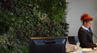 Plants, a Sign of Wealth? Featured Image