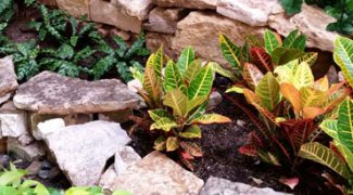 Discover the Best Clients for Your Interiorscape Company Featured Image