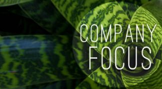 Key to Success: Sharpening Your Interiorscape Company’s Focus Featured Image