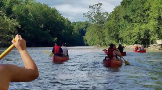 How Your Interiorscape Business Culture Affects Job Recruitment Featured Image