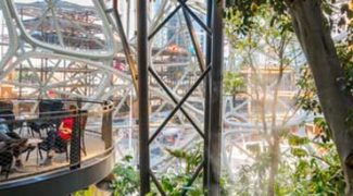 Biophilic Design in Commercial Spaces: The Power of Plants in Various Industries Featured Image