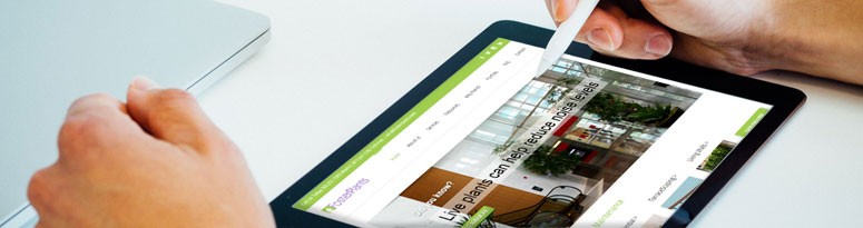 interiorscape branding