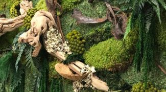 Get Aboard the Moss Wall Trend in 2019 Featured Image