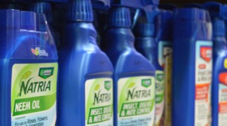 Everything You Need to Know About Pesticide Labels Featured Image