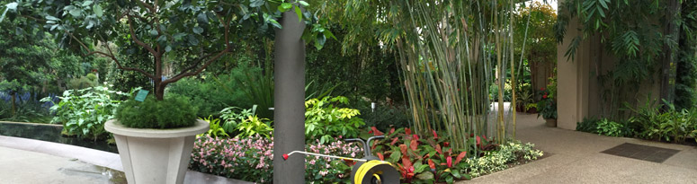 A hose and reel ready for use by a plant tech in a vibrant indoor garden setting