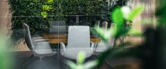 An office conference room with interior plants and vertical garden