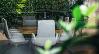 Plant Maintenance Strategies for Inaccessible Office Areas Featured Image