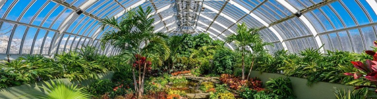 the colorful flowers and vibrant greenery of the Phipps Conservatory