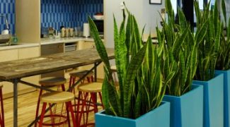 How Interiorscape Design Shapes First Impressions Featured Image