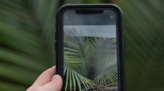 Capturing Interior Landscapes: An iPhone Photography Guide for Interiorscape Businesses Featured Image