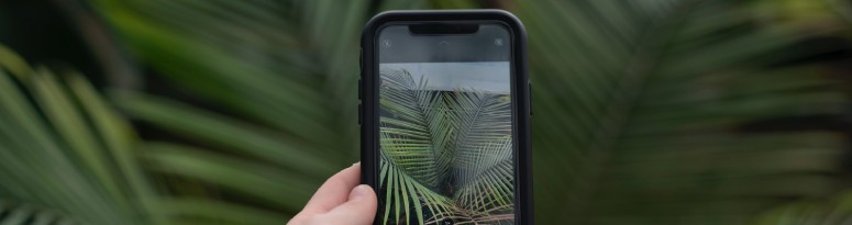 an interiorscape business owner capturing images of interior landscapes with an iphone