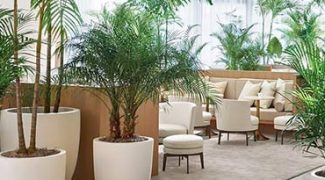 4 Hacks to Manage Last-Minute Foliage Service Requests Featured Image