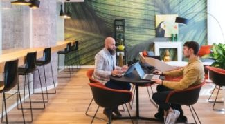 Liability Insurance for Interiorscapers: What You Need to Know Featured Image