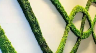 Starting Stories: Michael Creath with Planthropy Featured Image