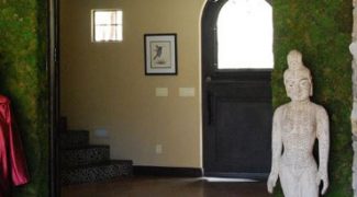 Are Moss Walls Really Real Green Walls? Featured Image