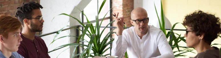 Staff meeting at a wooden table in a bright office, surrounded by indoor plants