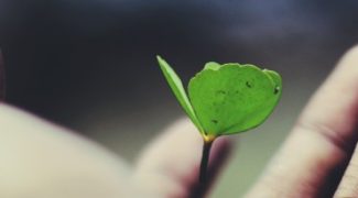 Team Development in Interiorscaping: Cultivating Professional Growth Featured Image