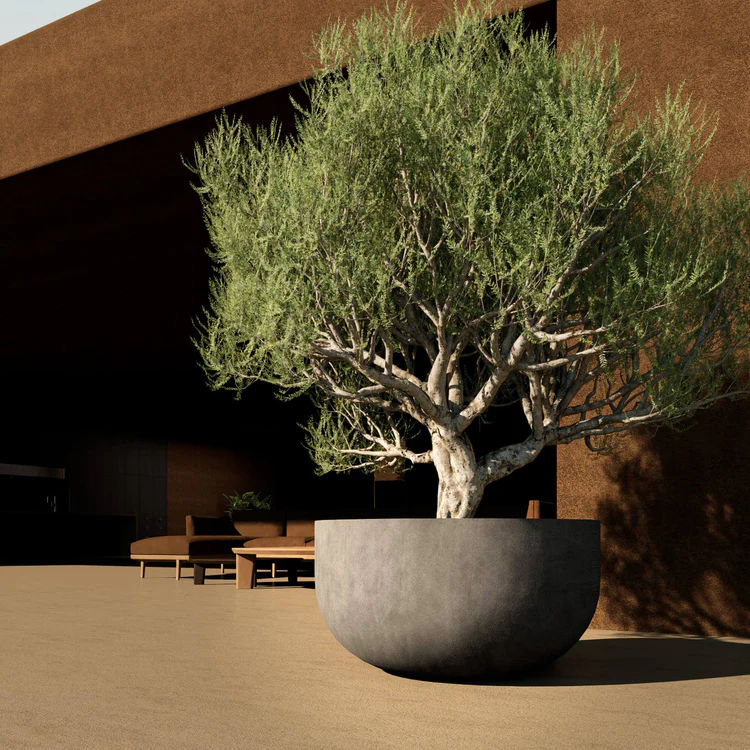 outdoor fiberglass planter with tree