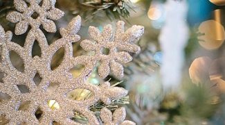 Think Outside the Tree: Holiday Displays That Break the Traditional Mold Featured Image