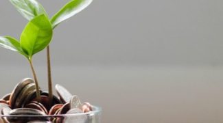 How to Protect Your Interiorscape Business’ Profit From Outsourcing Fees Featured Image