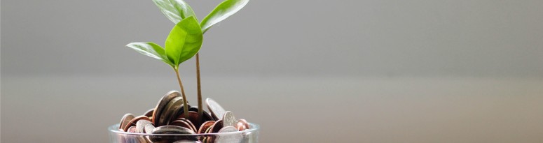 small plant with green leaves growing upward from a jar full of coins