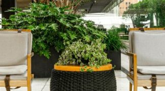 A Quick Guide to Pricing Interiorscape Jobs Featured Image