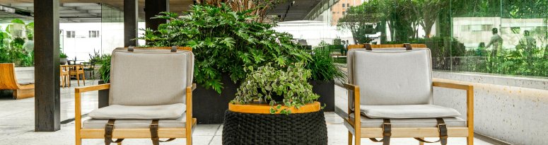 A set of chairs flanking a planter full of lush greenery