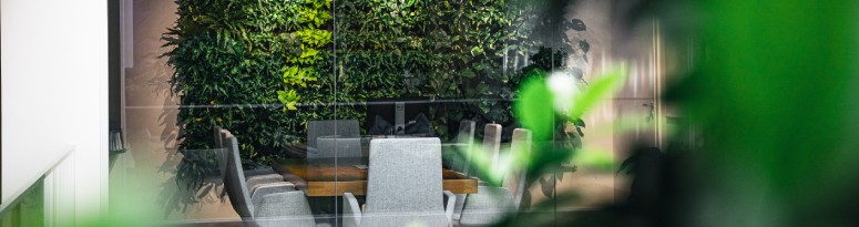 a green wall decorates an office conference room