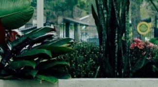 Client Retention Strategies for Interiorscapers Featured Image