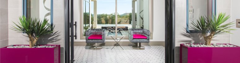 two purple sculptural plant containers with spiky green foliage on either side of a glass door decorate a modern entryway with a pop of color and nature