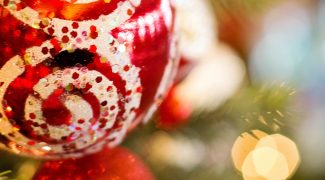 ‘Tis the Season for Interiorscape Challenges Featured Image