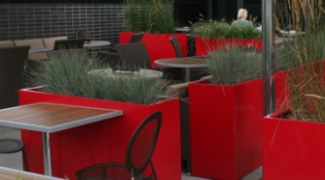 3 Reasons to Use Plants as Social Distancing Barriers Featured Image