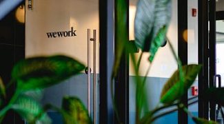 Blooming in Business: 8 Tips to Grow Your Interiorscape Career Featured Image