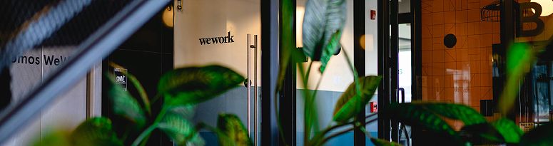 Plants in the foreground of an office entrance