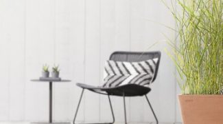 Which Sub-Irrigation System Is Best for Your Plantscape Project? Featured Image