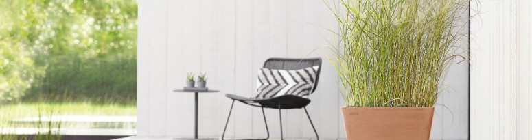 An outdoor patio featuring a square terracotta-colored eco-friendly planter with tall grasses near a black chair