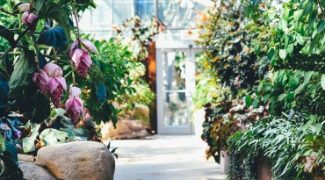 Exploring the Impact of Technology on the Interiorscape Industry Featured Image