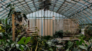 Should You Grow Your Own Tropical Plants in a Greenhouse? Featured Image