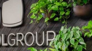 What Plant Sconces & Living Walls Can Do For Your Interior Design Featured Image