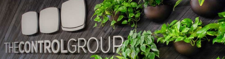 An indoor living wall featuring lush plants displayed in wall sconces