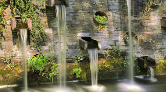 Natural Environments Have Major Medical Benefits Featured Image