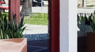 Winter Care for Fiberglass Planters Featured Image