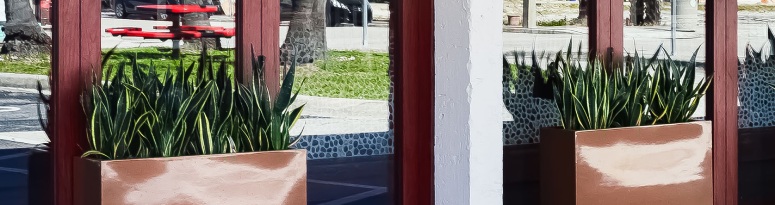 Rectangular brown fiberglass planters filled with snake plants placed outside a storefront with red-framed windows and holiday decor.