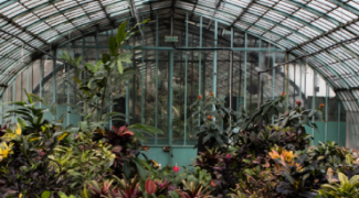 Working Around 2021 Plant Shortages Featured Image