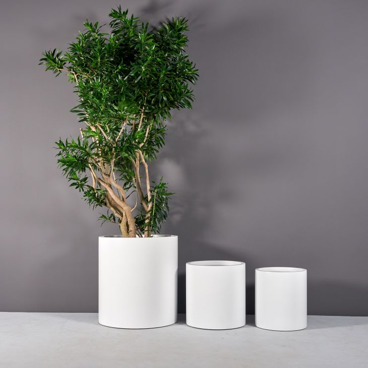 Jay Scotts Fiberglass Rio Grande Cylinder Planter (18