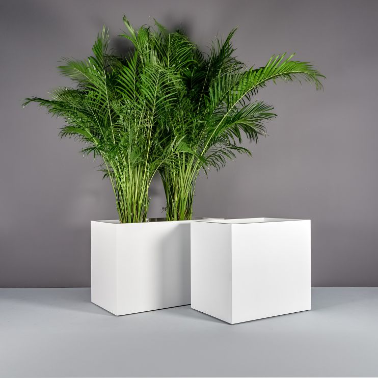 Jay Scotts Fiberglass Brisbane 32