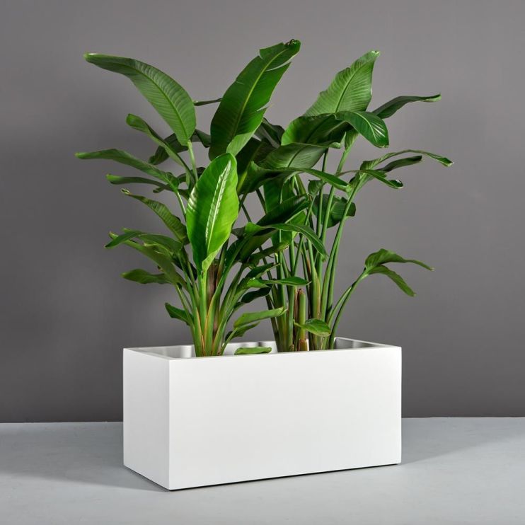 Jay Scotts Fiberglass Badalona Low Rectangle Planter - 17