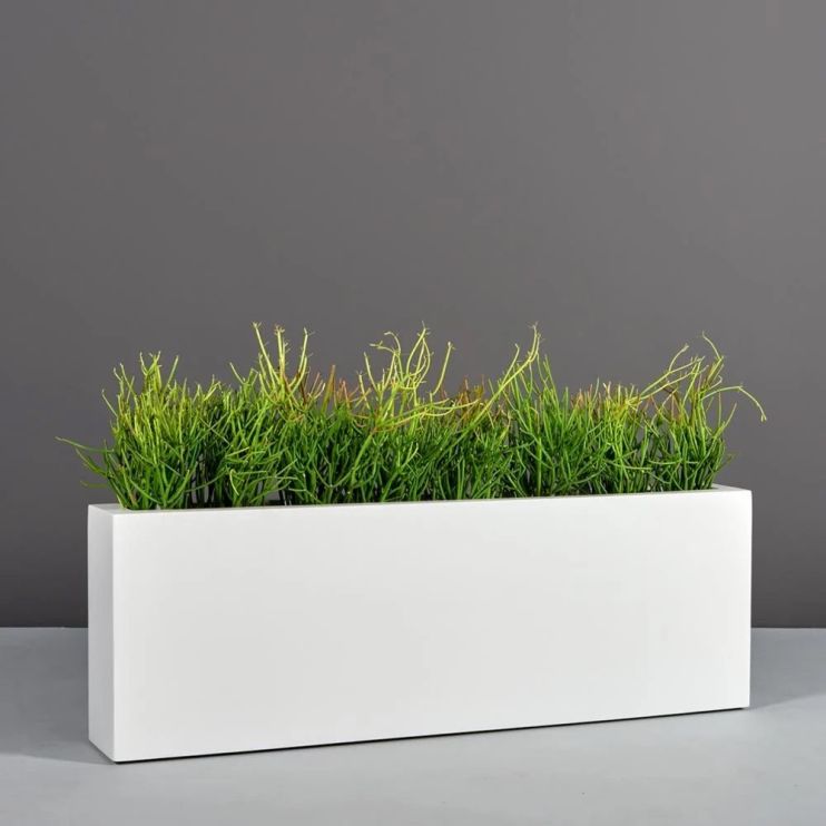 Jay Scotts Fiberglass Camoux Low Rectangle Planter - 8